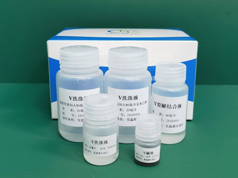 拭子类世界杯直播频道在线观看(磁珠法)瓶装