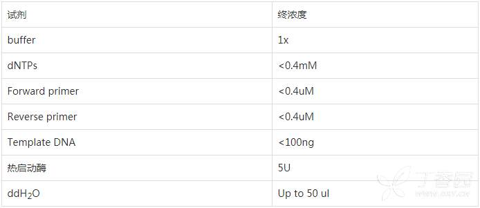 PCR 操作流程